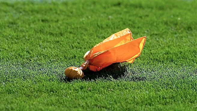 Bears-Panthers Upon Further Review: A Closer Look at the Referees