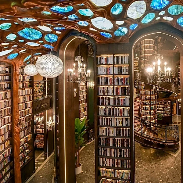 Books or Chocolate? Which Wins Your Vote?