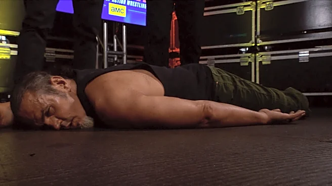 Do these look like the legs of the Wyatt Sicks on TNA Impact?