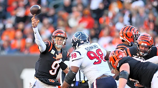 Bengals vs. Texans: How to watch, game time, TV info, online stream, odds, and predictions