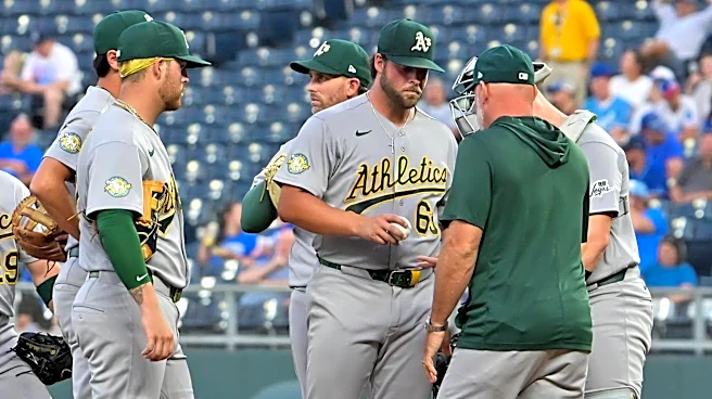 Elephant Rumblings: Guardians Series Preview