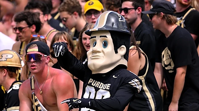 Hammer and Rails Readers React Results: Purdue Football Improvement