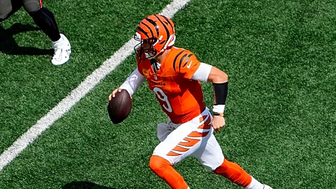 Bengals vs. Texans: 5 questions with Battle Red Blog