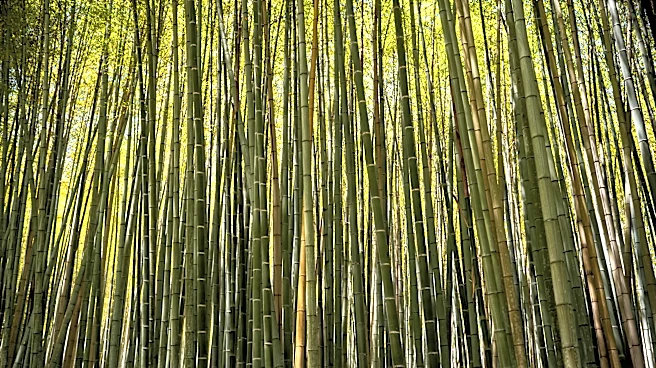 Open Thread, September 19, 2026: Where is your happy place?