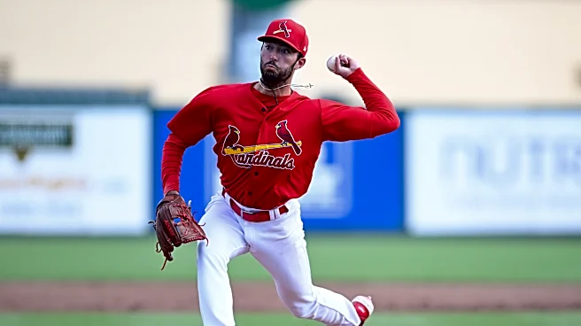 Striking Out on a New Path: The Whole System Is Missing Bats