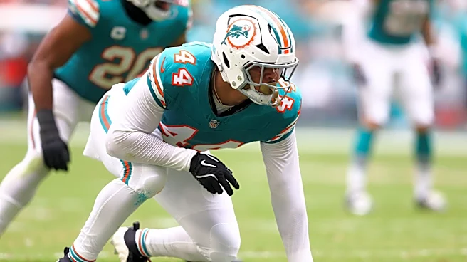 Miami Dolphins Week 2: What they said