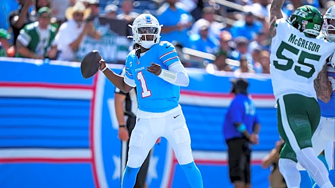 Titans fans assign blame for week 1 loss