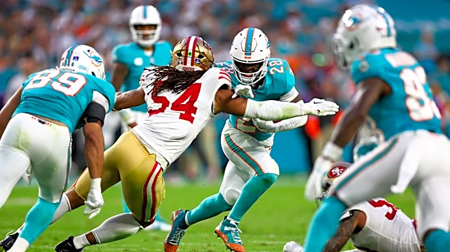 Miami Dolphins Fans: Dolphins vs. SF 49ers Predictions