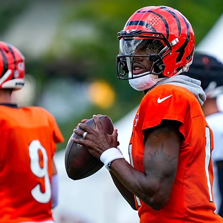 Bengals elevate QB Josh Johnson and LB Joe Giles-Harris ahead of Texans game