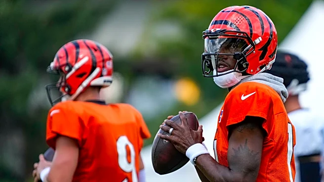 Bengals elevate QB Josh Johnson and LB Joe Giles-Harris ahead of Texans game