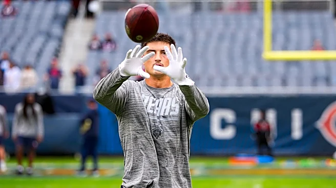 Bears vs. Vikings live game message board and fan discussion