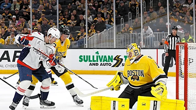 Public Skate: Bruins vs. Capitals, Preseason