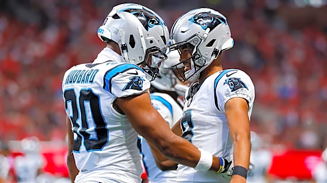 Panthers 34 Falcons 3: The Panthers returned to normalcy