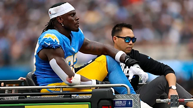 Former Browns tight end carted off with injury