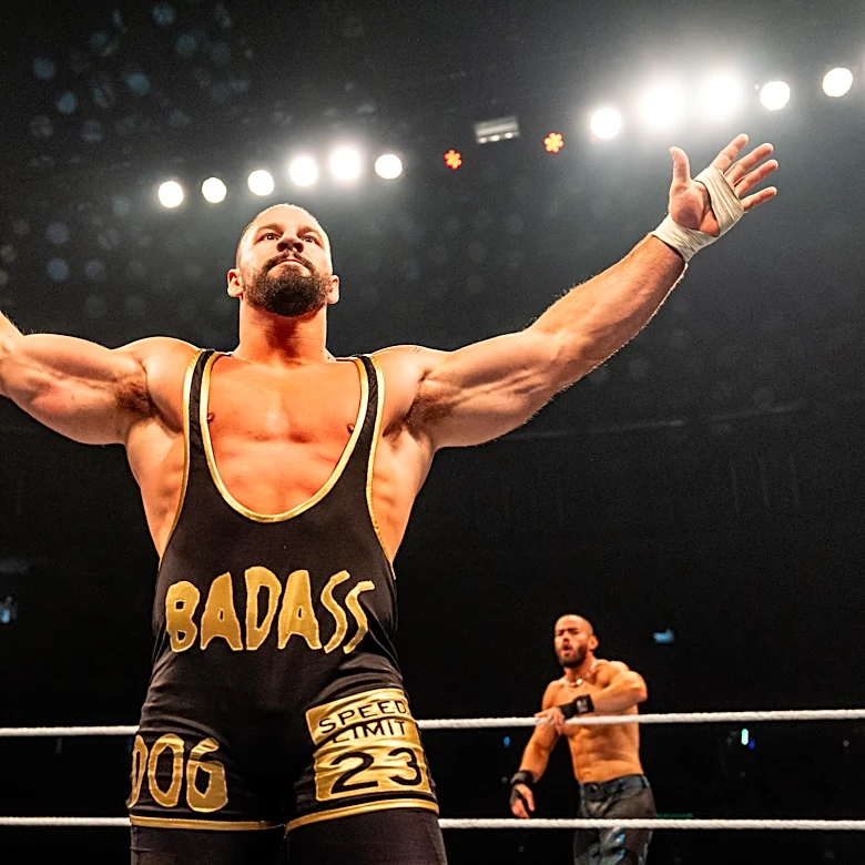 Money in the Bank ladder matches look wide open