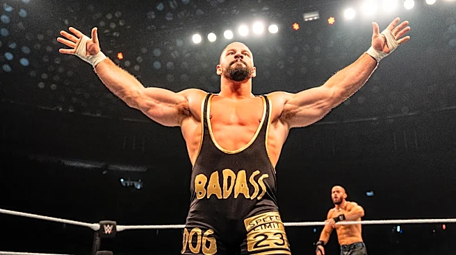 Money in the Bank ladder matches look wide open