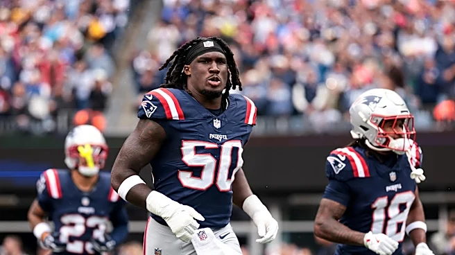 Illini in the NFL: Jacas picks off Aaron Rodgers