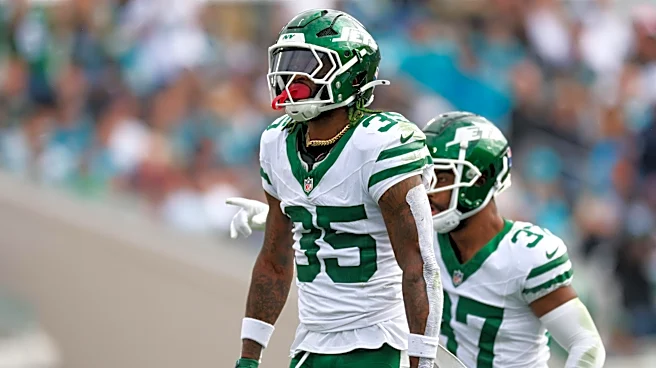 Lions bring back veteran safety to practice squad