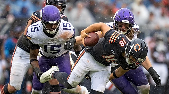 Vikes Views: Nincompoop of the Week – Vikings at Bears