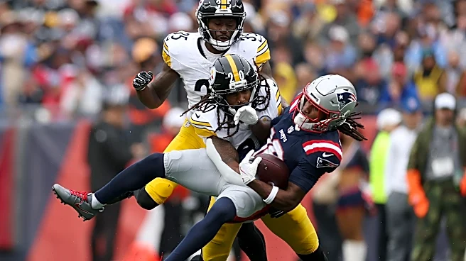 Patriots vs. Steelers snap counts from Week 2