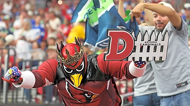 Enemy Reaction 2026: Arizona Cardinals