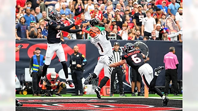 Week 2 NFLSU Report Card