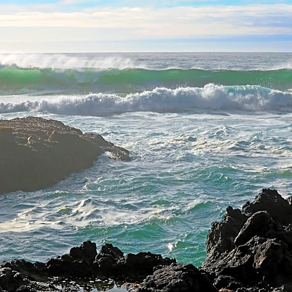 Which is Better, Guitars or the Oregon Coast?