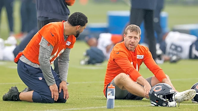 How are you feeling about the current state of the Chicago Bears?
