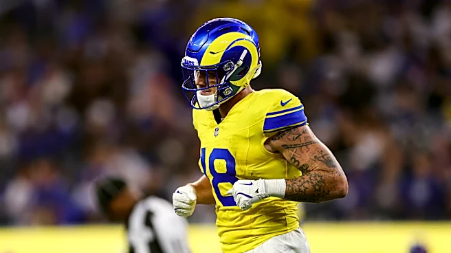 Rams snap count review: Terrance Ferguson stakes a claim for TE#1