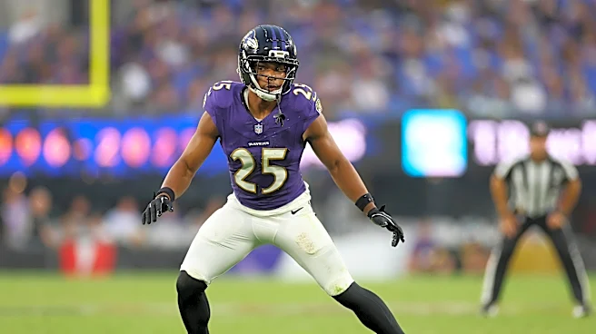 Steelers work out former Ravens safety