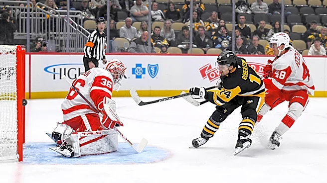 Penguins/Red Wings (preseason) Impressions: Pens lose 7-4 to Detroit