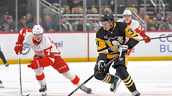 Pens Points: Penguins drop second preseason game