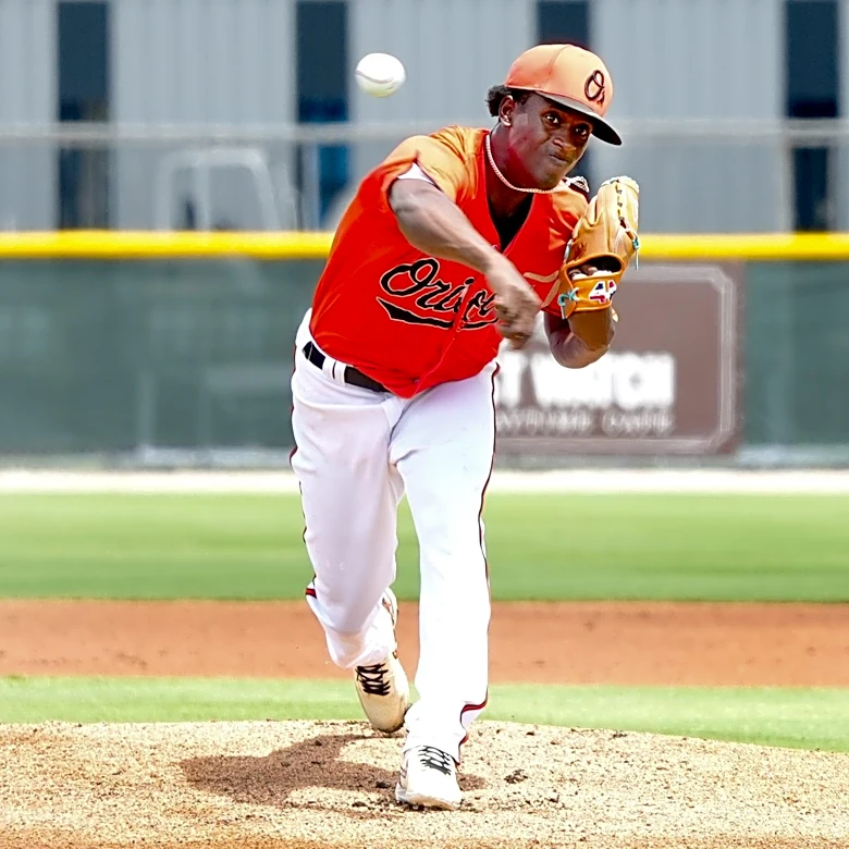 Orioles prospect season review: Esteban Mejia