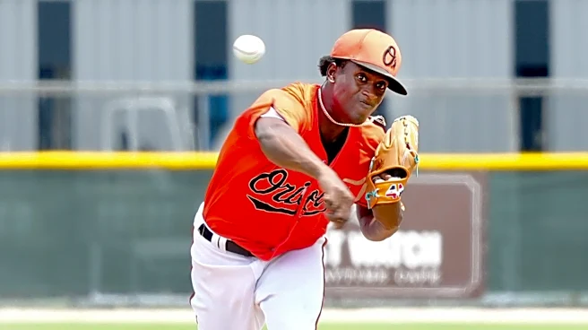 Orioles prospect season review: Esteban Mejia