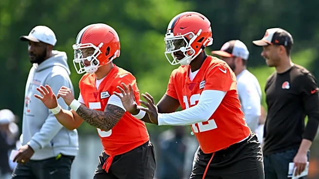 If interest is there, does Browns Shedeur Sanders or Dillon Gabriel trade make sense?