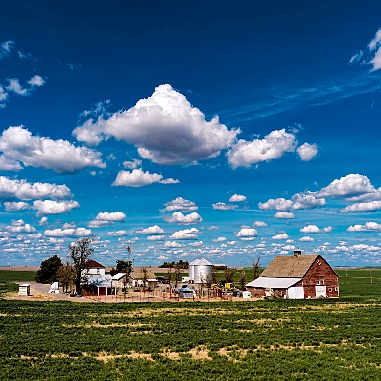 The Link Farm: 9.25.26