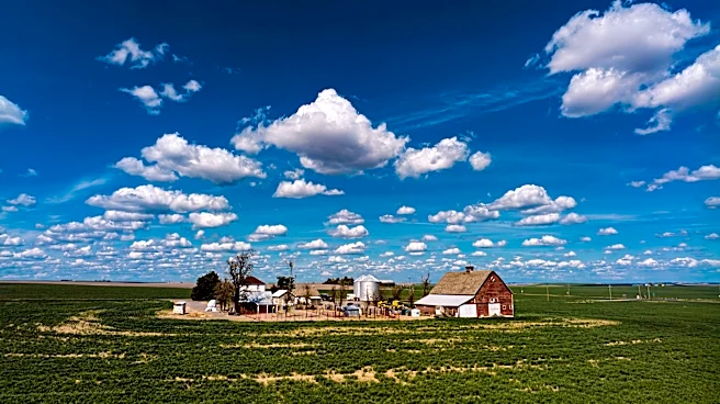The Link Farm: 9.25.26