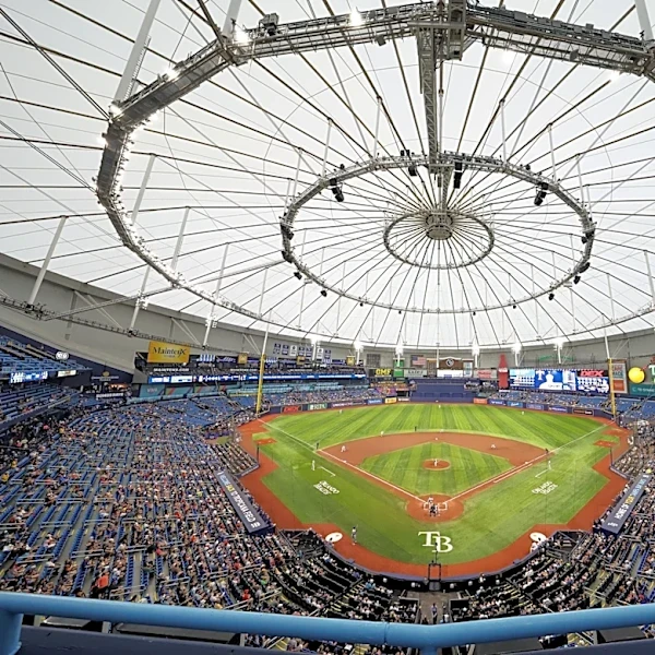 The Cubs and Red Sox will play Sunday at Tropicana Field