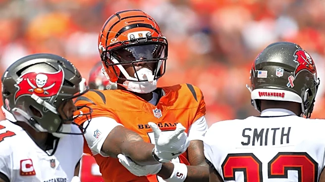 Tee Higgins speaks out on celebration fine from NFL