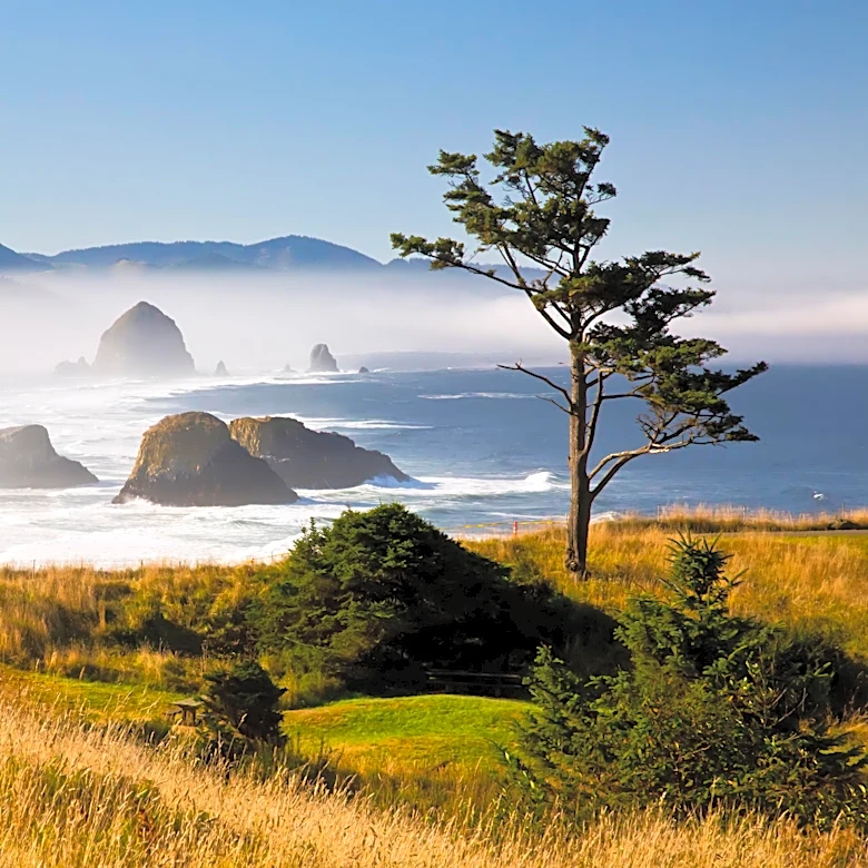 Final Four Matchup 1: Dolly Parton or the Coast in Best Things Ever?