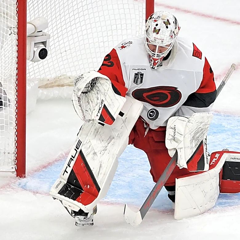Hurricanes 6, Predators 0