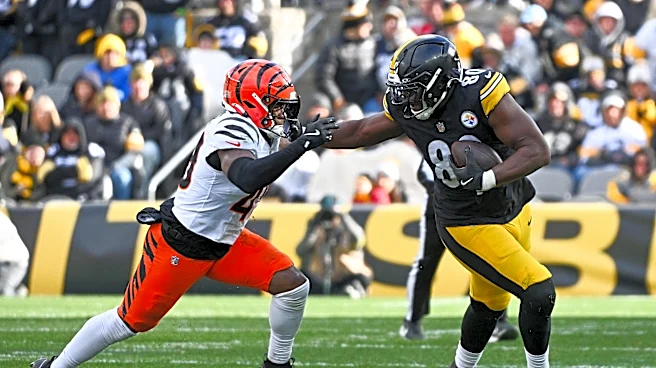 Steelers-Bengals alternate game thread