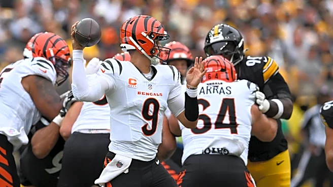 7 winners, 8 losers from Cincinnati Bengals’ bad loss vs. Pittsburgh Steelers