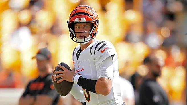 Tee Higgins defends Joe Burrow after late fumble seals Bengals’ first loss of the season to Steelers