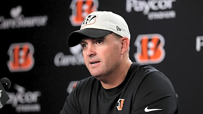 Bengals injury updates on Bryan Cook, Colbie Young, and Kyle Dugger