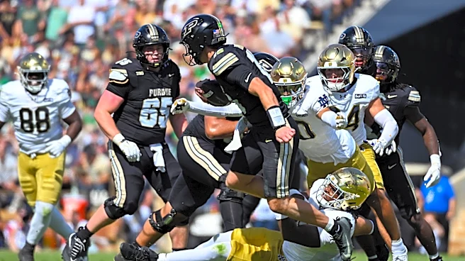 Hammer and Readers Rails Reacts Survey: Will Purdue Football Win Another Game?