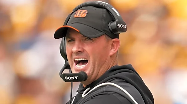 Week 4 Cincinnati Bengals Power Rankings Roundup
