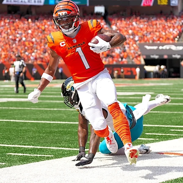 Bengals vs. Jaguars: 5 questions with Gus Logue of SB Nation’s Big Cat Country