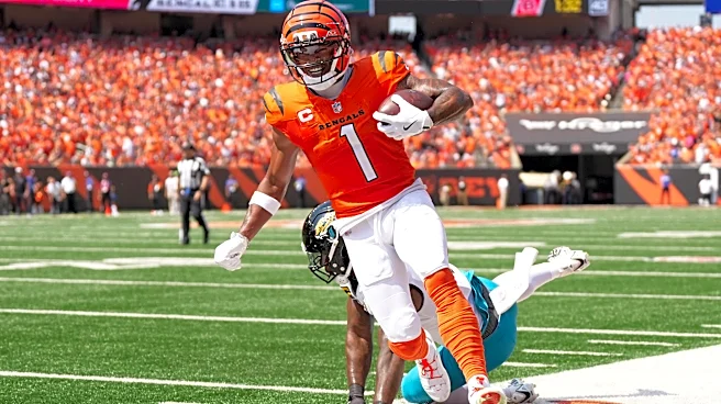 Bengals vs. Jaguars: 5 questions with Gus Logue of SB Nation’s Big Cat Country