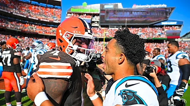 Panthers vs. Browns game review: Pain.